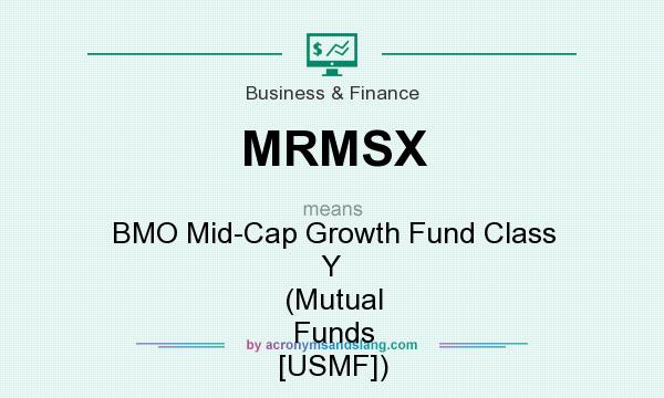 What does MRMSX mean? It stands for BMO Mid-Cap Growth Fund Class Y (Mutual Funds [USMF])
