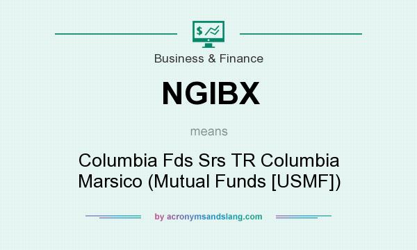 What does NGIBX mean? It stands for Columbia Fds Srs TR Columbia Marsico (Mutual Funds [USMF])
