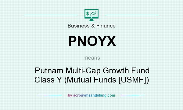 What does PNOYX mean? It stands for Putnam Multi-Cap Growth Fund Class Y (Mutual Funds [USMF])