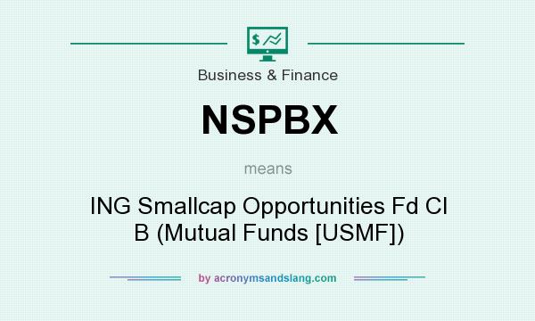 What does NSPBX mean? It stands for ING Smallcap Opportunities Fd Cl B (Mutual Funds [USMF])