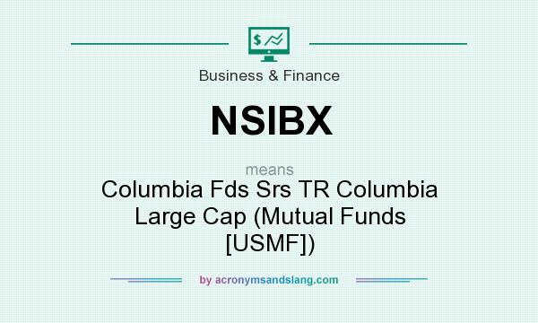 What does NSIBX mean? It stands for Columbia Fds Srs TR Columbia Large Cap (Mutual Funds [USMF])