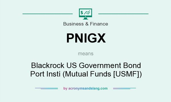 What does PNIGX mean? It stands for Blackrock US Government Bond Port Insti (Mutual Funds [USMF])