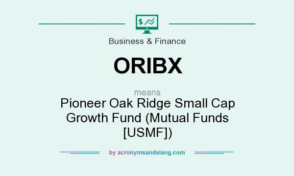 What does ORIBX mean? It stands for Pioneer Oak Ridge Small Cap Growth Fund (Mutual Funds [USMF])