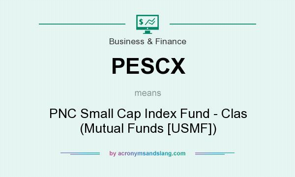 What does PESCX mean? It stands for PNC Small Cap Index Fund - Clas (Mutual Funds [USMF])