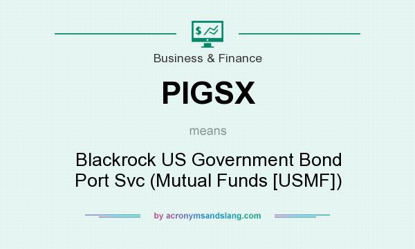 What does PIGSX mean? It stands for Blackrock US Government Bond Port Svc (Mutual Funds [USMF])