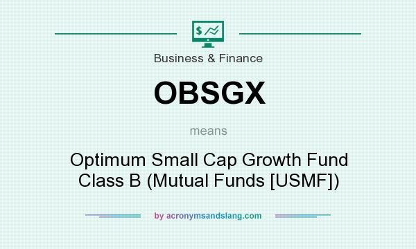What does OBSGX mean? It stands for Optimum Small Cap Growth Fund Class B (Mutual Funds [USMF])