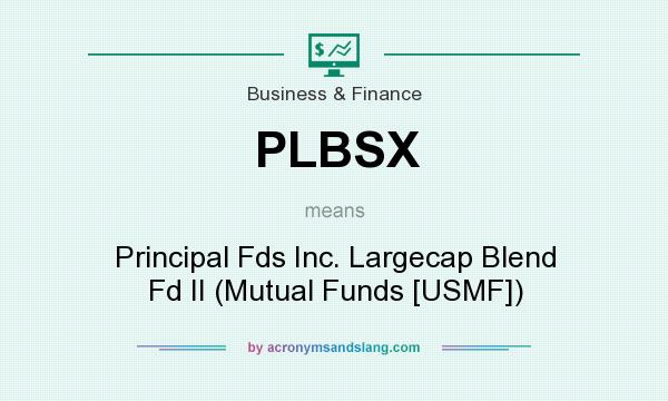 What does PLBSX mean? It stands for Principal Fds Inc. Largecap Blend Fd II (Mutual Funds [USMF])