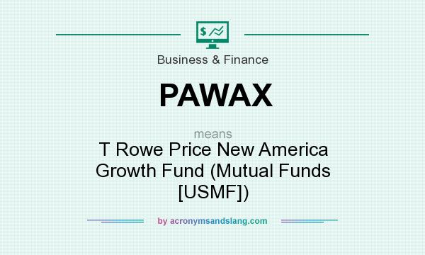 What does PAWAX mean? It stands for T Rowe Price New America Growth Fund (Mutual Funds [USMF])