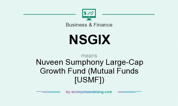 What does NSGIX mean? It stands for Nuveen Sumphony Large-Cap Growth Fund (Mutual Funds [USMF])