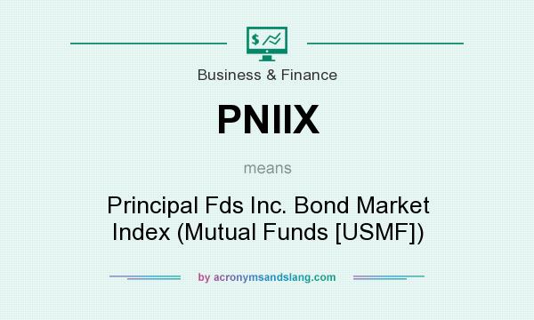 What does PNIIX mean? It stands for Principal Fds Inc. Bond Market Index (Mutual Funds [USMF])