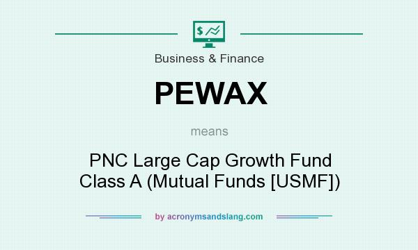 What does PEWAX mean? It stands for PNC Large Cap Growth Fund Class A (Mutual Funds [USMF])