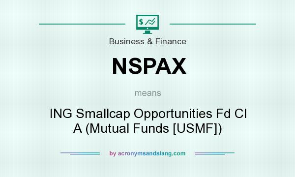 What does NSPAX mean? It stands for ING Smallcap Opportunities Fd Cl A (Mutual Funds [USMF])