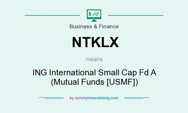 What does NTKLX mean? It stands for ING International Small Cap Fd A (Mutual Funds [USMF])