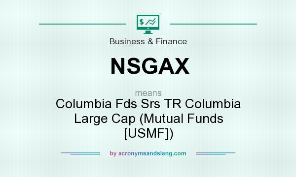 What does NSGAX mean? It stands for Columbia Fds Srs TR Columbia Large Cap (Mutual Funds [USMF])