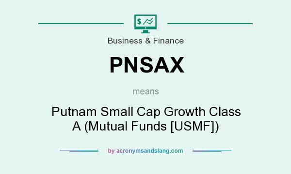 What does PNSAX mean? It stands for Putnam Small Cap Growth Class A (Mutual Funds [USMF])