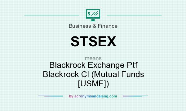 What does STSEX mean? It stands for Blackrock Exchange Ptf Blackrock Cl (Mutual Funds [USMF])