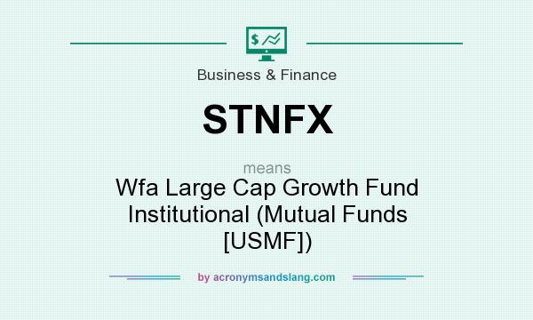 What does STNFX mean? It stands for Wfa Large Cap Growth Fund Institutional (Mutual Funds [USMF])