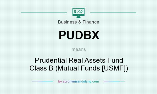 What does PUDBX mean? It stands for Prudential Real Assets Fund Class B (Mutual Funds [USMF])