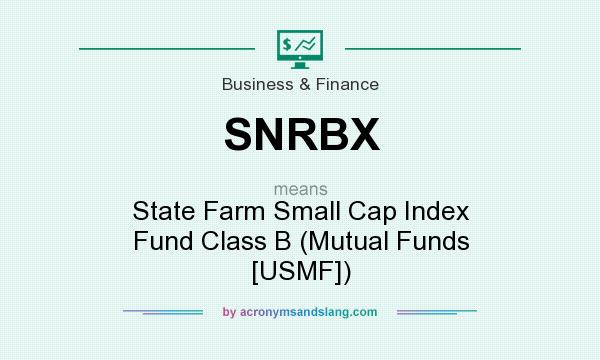 What does SNRBX mean? It stands for State Farm Small Cap Index Fund Class B (Mutual Funds [USMF])