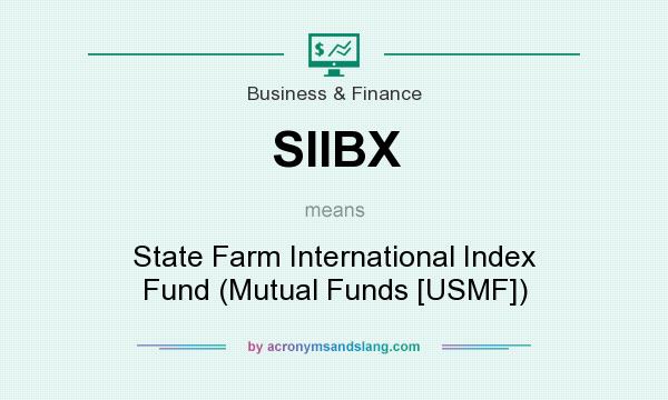 What does SIIBX mean? It stands for State Farm International Index Fund (Mutual Funds [USMF])