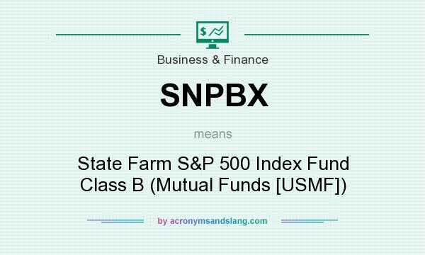 What does SNPBX mean? It stands for State Farm S&P 500 Index Fund Class B (Mutual Funds [USMF])