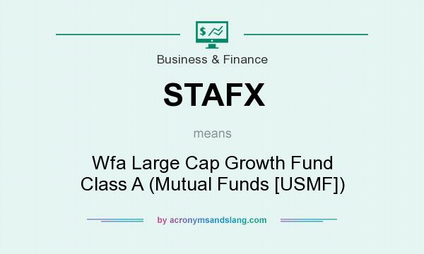 What does STAFX mean? It stands for Wfa Large Cap Growth Fund Class A (Mutual Funds [USMF])