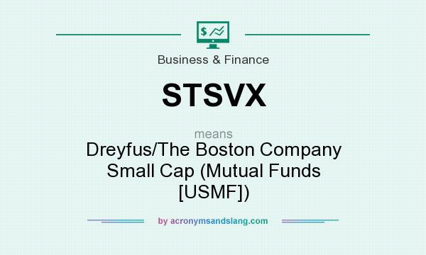 What does STSVX mean? It stands for Dreyfus/The Boston Company Small Cap (Mutual Funds [USMF])