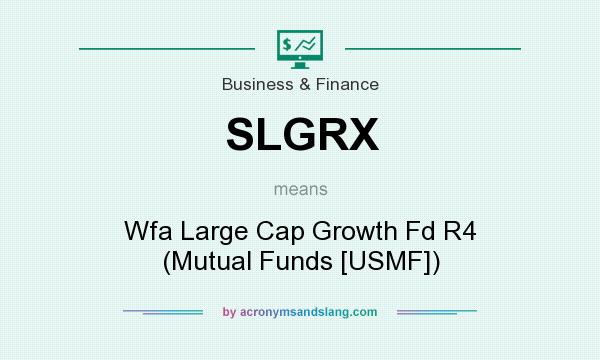 What does SLGRX mean? It stands for Wfa Large Cap Growth Fd R4 (Mutual Funds [USMF])