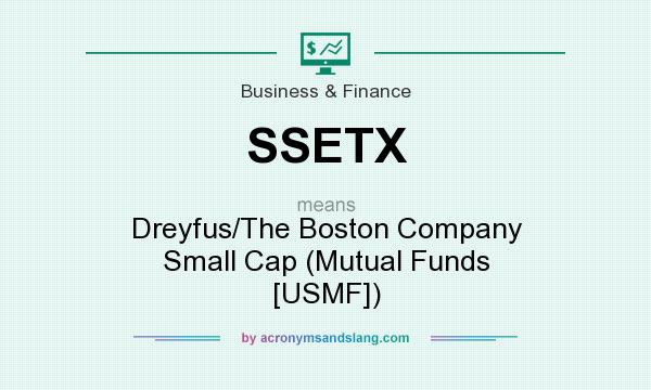 What does SSETX mean? It stands for Dreyfus/The Boston Company Small Cap (Mutual Funds [USMF])