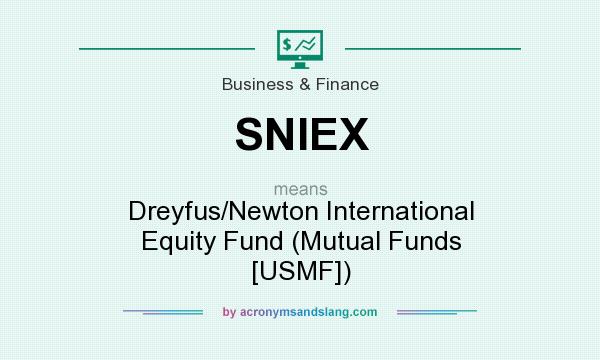 What does SNIEX mean? It stands for Dreyfus/Newton International Equity Fund (Mutual Funds [USMF])