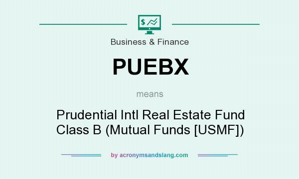 What does PUEBX mean? It stands for Prudential Intl Real Estate Fund Class B (Mutual Funds [USMF])