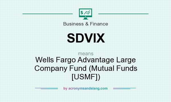 What does SDVIX mean? It stands for Wells Fargo Advantage Large Company Fund (Mutual Funds [USMF])