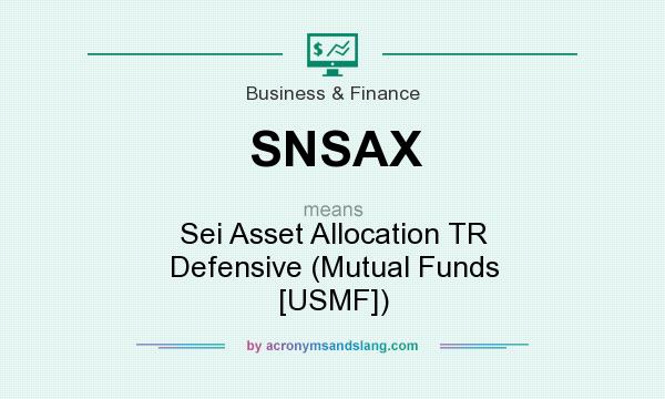 What does SNSAX mean? It stands for Sei Asset Allocation TR Defensive (Mutual Funds [USMF])