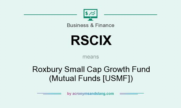 What does RSCIX mean? It stands for Roxbury Small Cap Growth Fund (Mutual Funds [USMF])