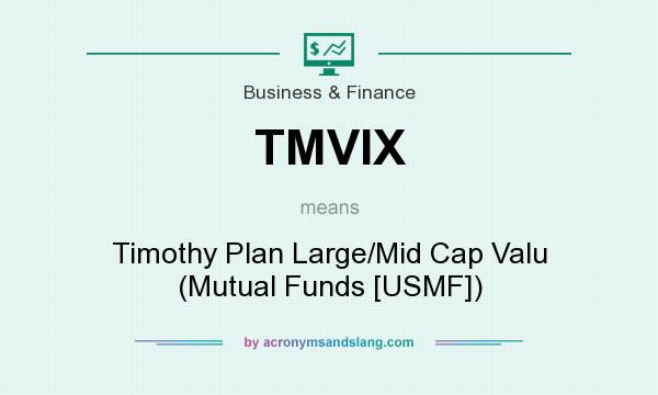 What does TMVIX mean? It stands for Timothy Plan Large/Mid Cap Valu (Mutual Funds [USMF])