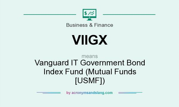 What does VIIGX mean? It stands for Vanguard IT Government Bond Index Fund (Mutual Funds [USMF])