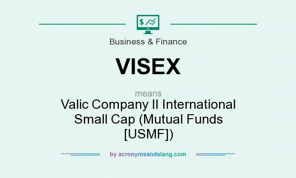 What does VISEX mean? It stands for Valic Company II International Small Cap (Mutual Funds [USMF])