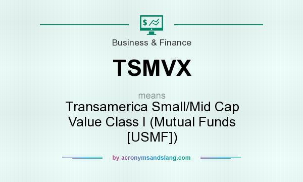 What does TSMVX mean? It stands for Transamerica Small/Mid Cap Value Class I (Mutual Funds [USMF])
