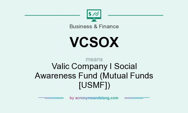 What does VCSOX mean? It stands for Valic Company I Social Awareness Fund (Mutual Funds [USMF])