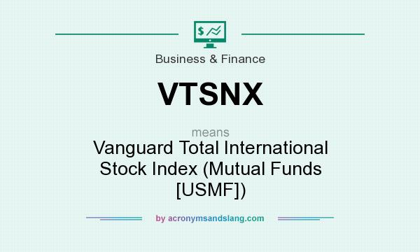 What does VTSNX mean? It stands for Vanguard Total International Stock Index (Mutual Funds [USMF])