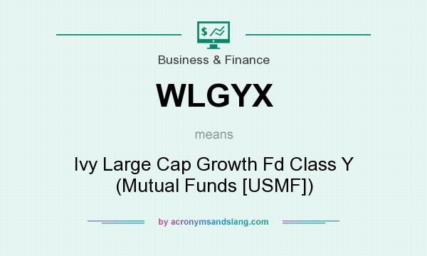 What does WLGYX mean? It stands for Ivy Large Cap Growth Fd Class Y (Mutual Funds [USMF])