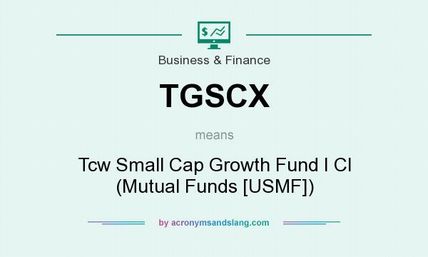What does TGSCX mean? It stands for Tcw Small Cap Growth Fund I Cl (Mutual Funds [USMF])