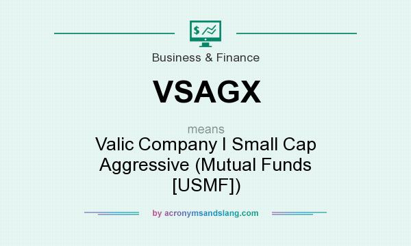 What does VSAGX mean? It stands for Valic Company I Small Cap Aggressive (Mutual Funds [USMF])