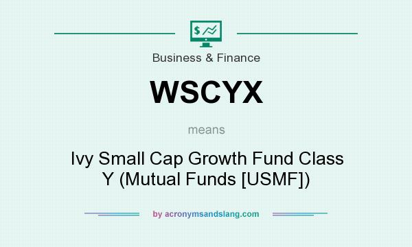 What does WSCYX mean? It stands for Ivy Small Cap Growth Fund Class Y (Mutual Funds [USMF])