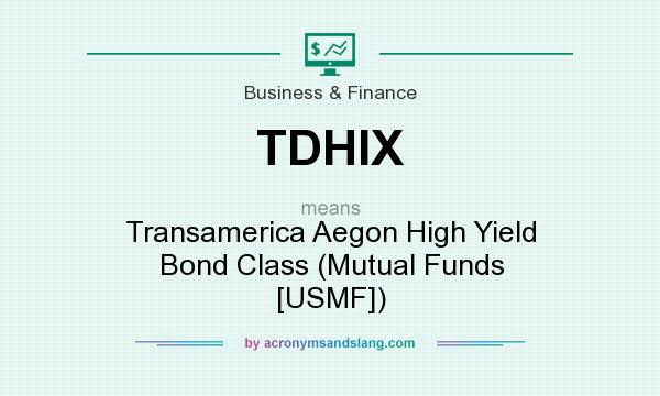 What does TDHIX mean? It stands for Transamerica Aegon High Yield Bond Class (Mutual Funds [USMF])