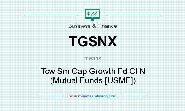 What does TGSNX mean? It stands for Tcw Sm Cap Growth Fd Cl N (Mutual Funds [USMF])