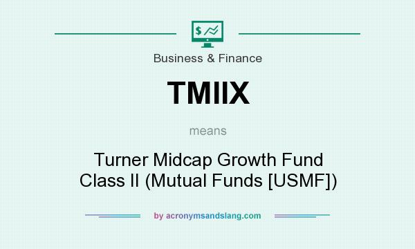 What does TMIIX mean? It stands for Turner Midcap Growth Fund Class II (Mutual Funds [USMF])
