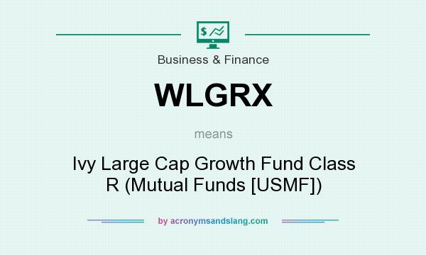 What does WLGRX mean? It stands for Ivy Large Cap Growth Fund Class R (Mutual Funds [USMF])