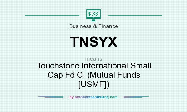 What does TNSYX mean? It stands for Touchstone International Small Cap Fd Cl (Mutual Funds [USMF])