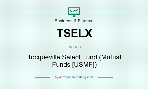 What does TSELX mean? It stands for Tocqueville Select Fund (Mutual Funds [USMF])